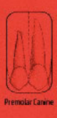 <p>The contact between the two should be in the middle 1/3 of the frame.</p>