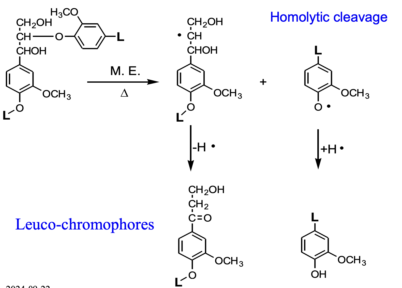 <p>Homolytic cleavage ——&gt; formation of radicals ———&gt; chemical reaction with radicals that leads to the formation of<strong> Leucochromophores</strong>.&nbsp;</p>