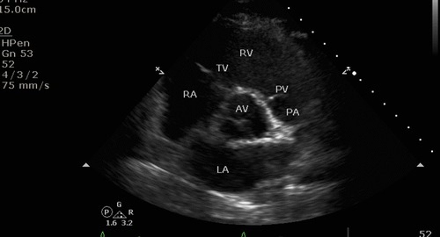 <p>What view is this?</p>