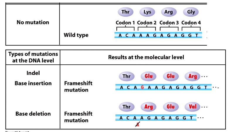 <p>DIAGRAM ON SLIDE 23</p>