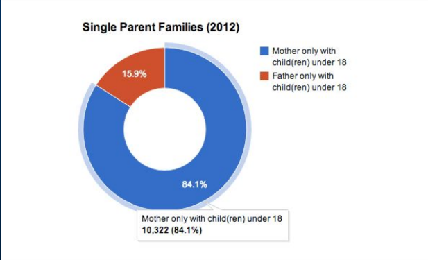 <p>What are single parent families?</p>