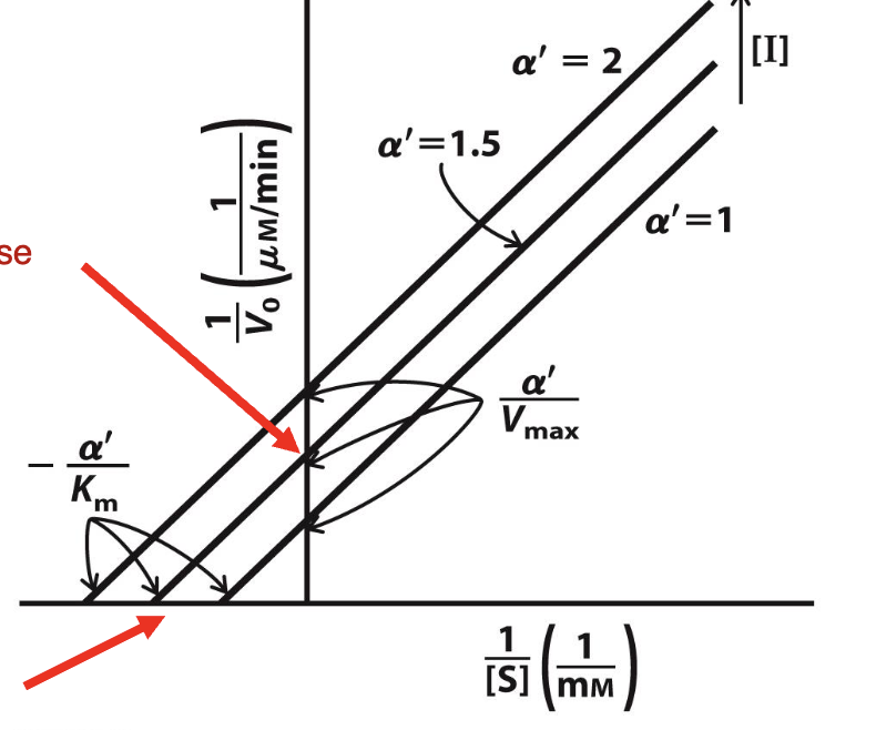 <p>What plot is this?<br>a. Ping-Pong Kinetic Mechanism&nbsp;<br>b.Competitive Inhibition&nbsp;<br>c. Sequential Kinetic Mechanism&nbsp;<br>d. Mixed Inhibition&nbsp;<br>e. Uncompetitive&nbsp;Inhibition</p>