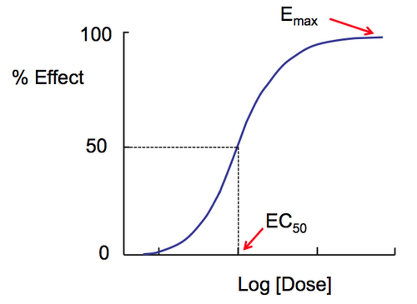 <p>the relationship between the drug concentrations and the responses they generate</p>