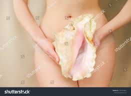 <p>shell</p>