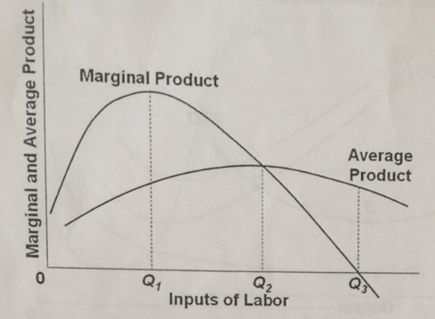 <p>- Output initially rises as labour productivity increases</p><p>- This happens due to specialisation and an under utilisation of fixed factors of production</p><p>- For specialisation, as we employ workers, they can learn from the previous workers to produce at a faster rate. For the under utilisation, there is enough work space for the workers</p><p>- However, eventually, marginal product and labour productivity fall as we employ more workers</p><p>- Fixed factors of production become a constraint as there isn't enough space to match the increase in workers</p>