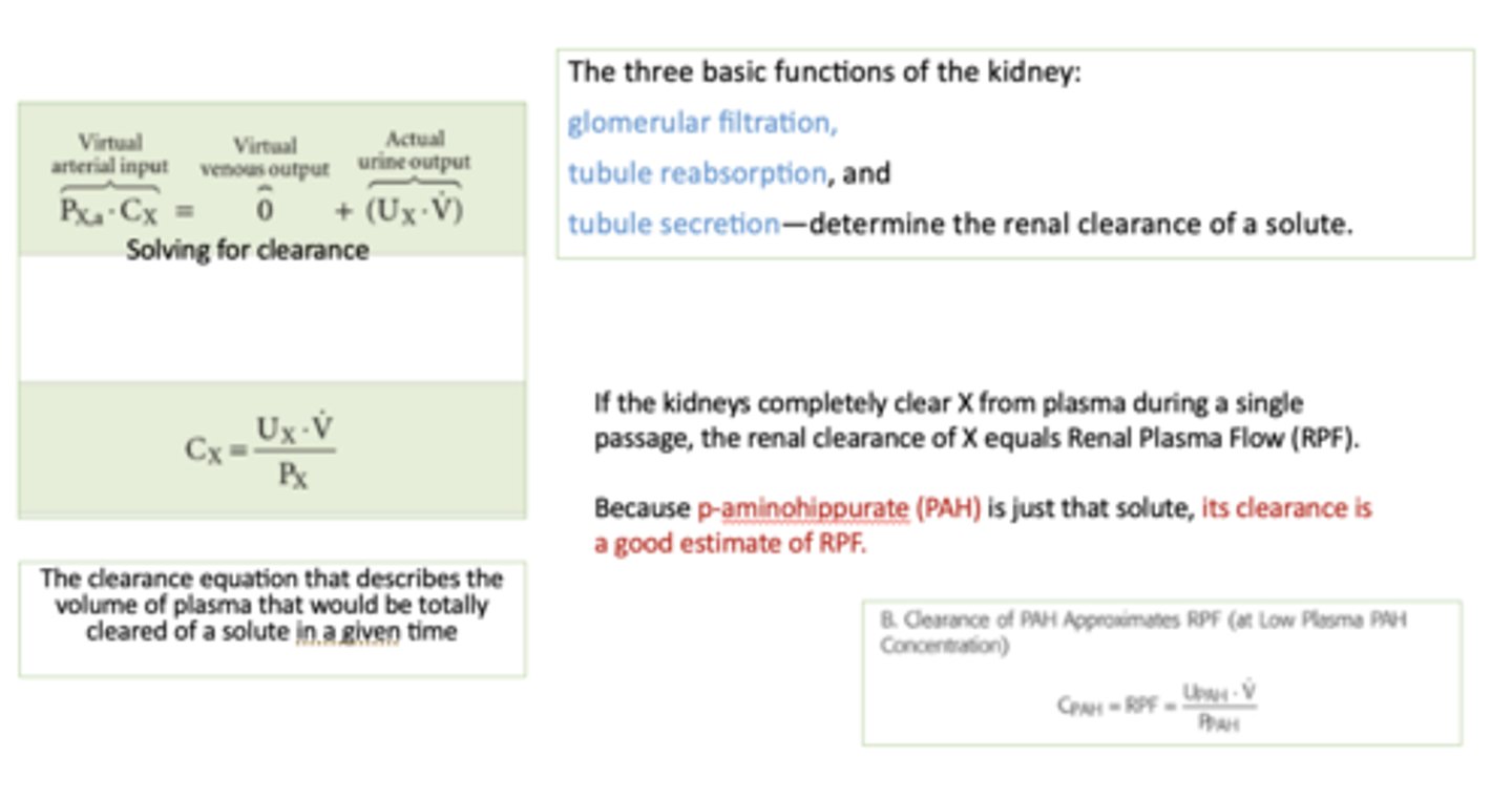 <p>kidney</p>