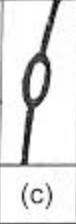 <p>what is marked in this picture</p>