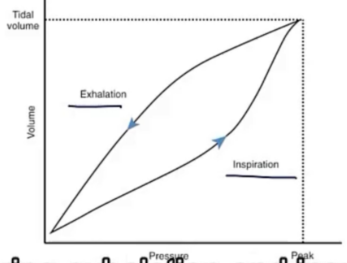<p>-inhaling or exhaling</p><p>-compliance; hysteresis</p><p>-surface tension</p><p>-small; very close and bouncing around; surface tension; large; large; lower</p>