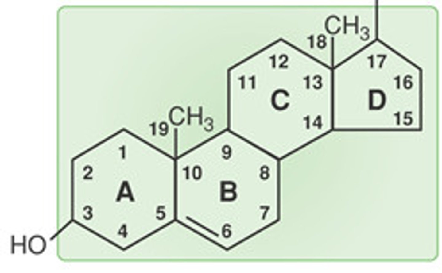 <p>4 fused carbon rings, 3 cyclohexane rings, 1 cyclopentane ring</p>