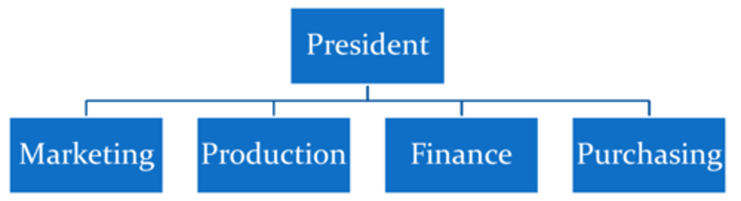 <p>structured around functional, specialized activities such as production, marketing, and HRM.</p>