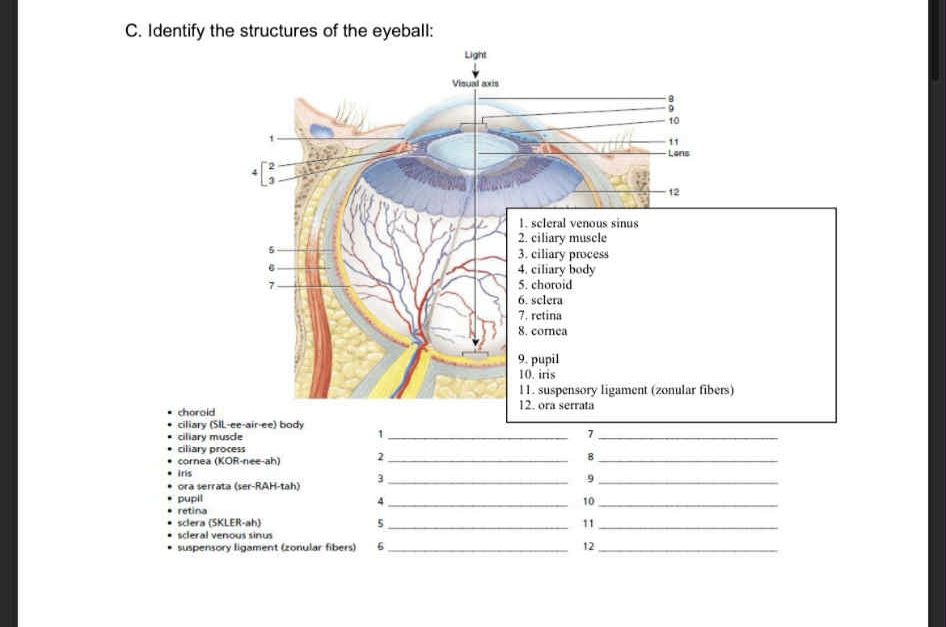 <p>1-6</p>