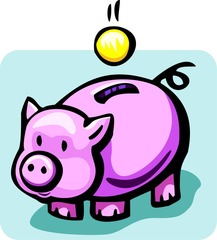 How much pocket money do you get?