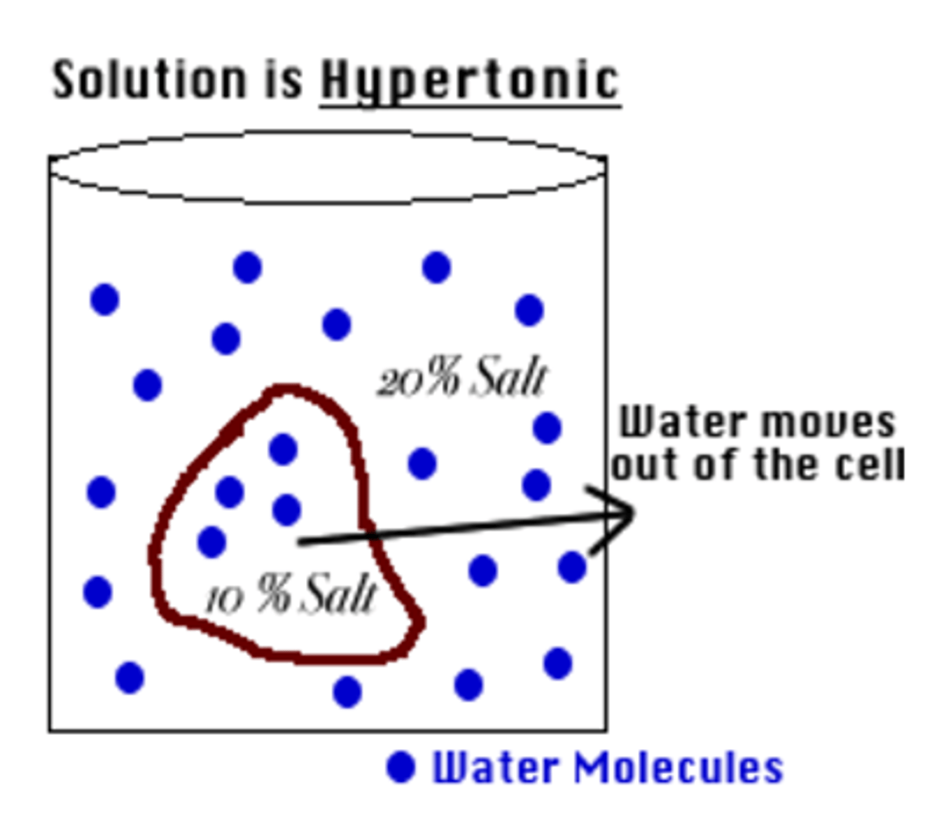 <p>Solute concentration is higher outside the cell than inside; i.e. Wilting in plants</p><p>Meat should not be salted before cooking or cells will dehydrate</p>