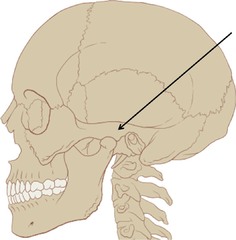Name this part of the temporal bone.