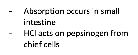 secrete HC (low pH) to denature proteins, break down plant cell walls, kill bacteria, and help to secrete intrinsic factor