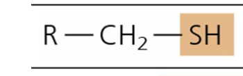 <p>What is the structure style, function, and common context of Sulfhydryl?</p>