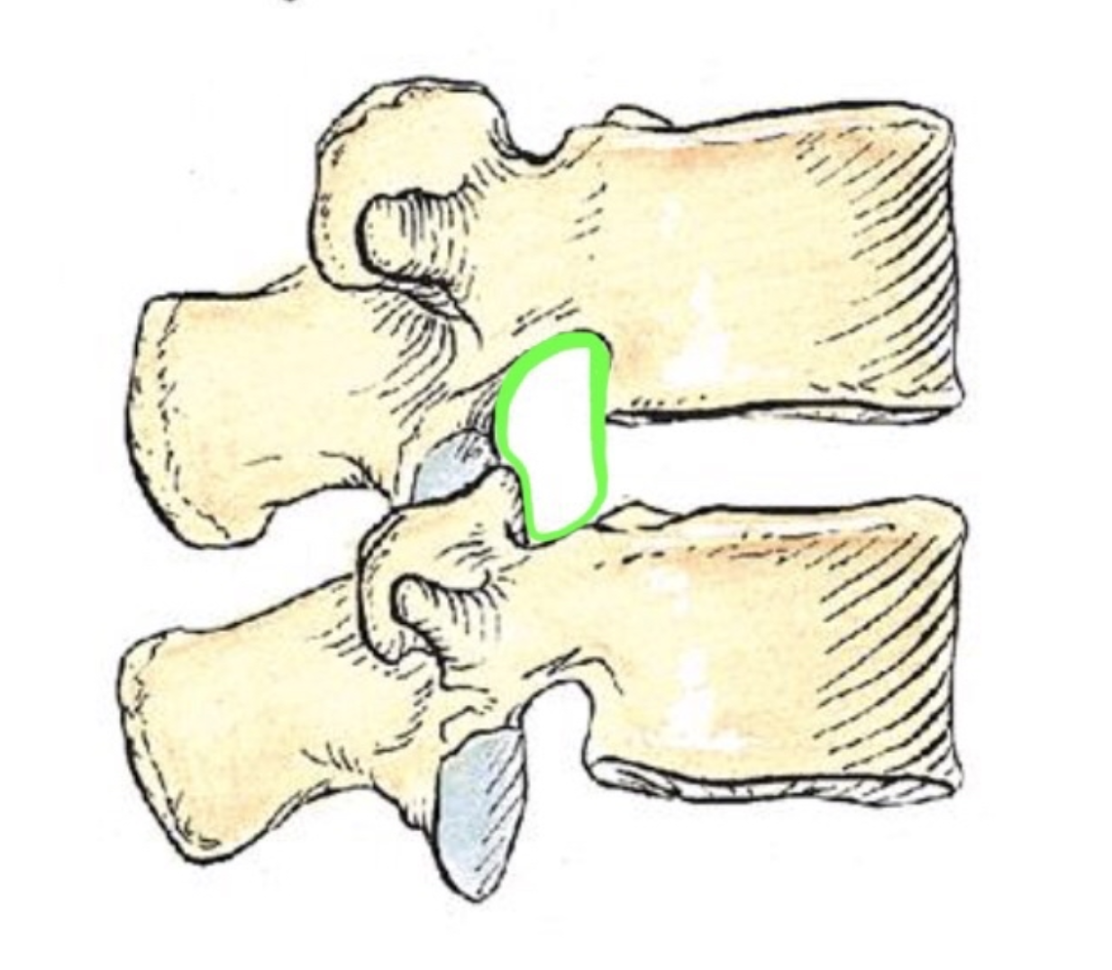 <p>What Is This Hole’s Name?</p>