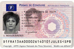 a driver's license