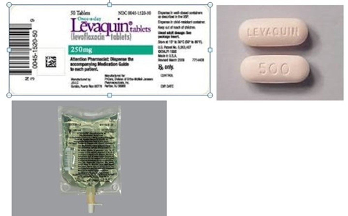 <p>antibiotic</p>