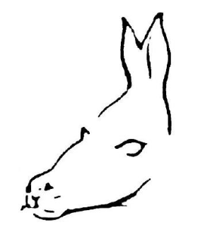 <p>We see what we expect or want to see</p><p>Ex: 70% “saw” the animal that led to a better outcome (orange juice vs. nasty smoothie)</p><p></p>