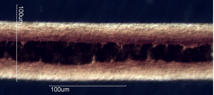 term image