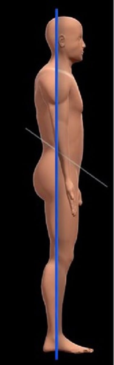 <p>Divides the body into front and back portions (anterior and posterior).</p><p>Also known as a coronal plane</p>