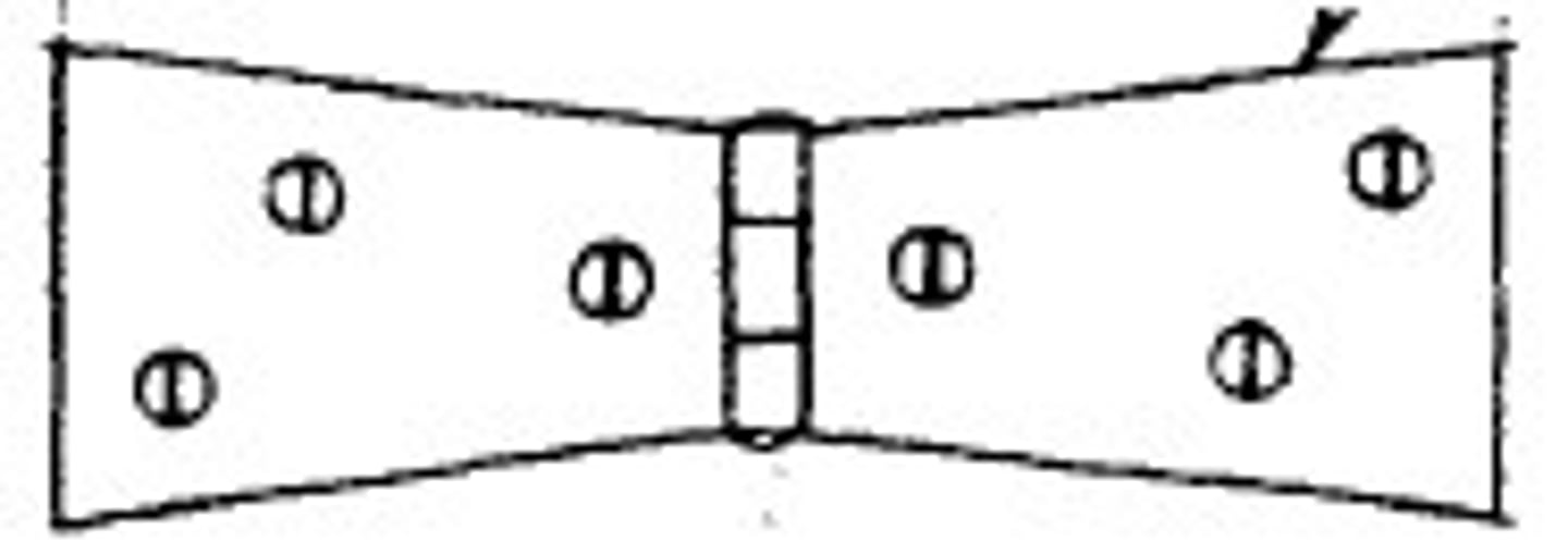 <p>A strap hinge having leaves that are narrower at their junction than at their other extremities</p>