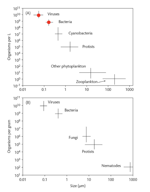<p>Virus to Bacteria Ratio (VBR) for this graph (mean, the center of the point for each):</p>