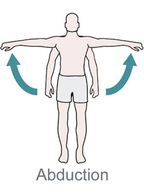 <p>abduction</p>