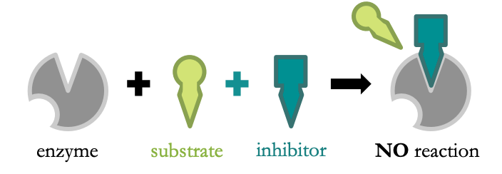 Competitive Inhibition