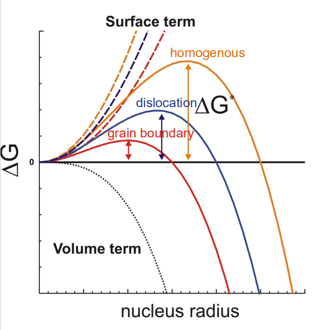 Precipitation on austenite GBs minimises free energy