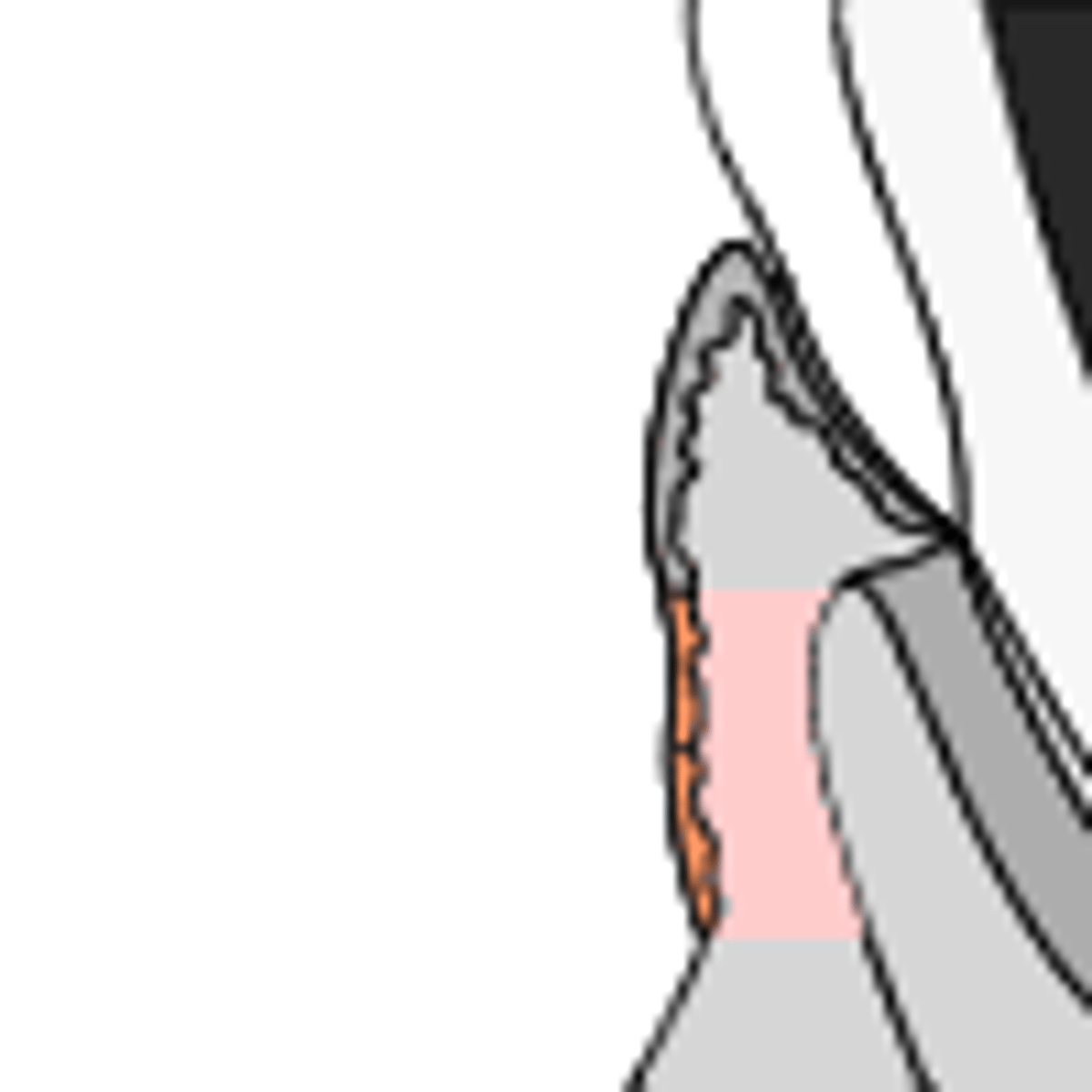 <p>What is this highlighted area?</p>