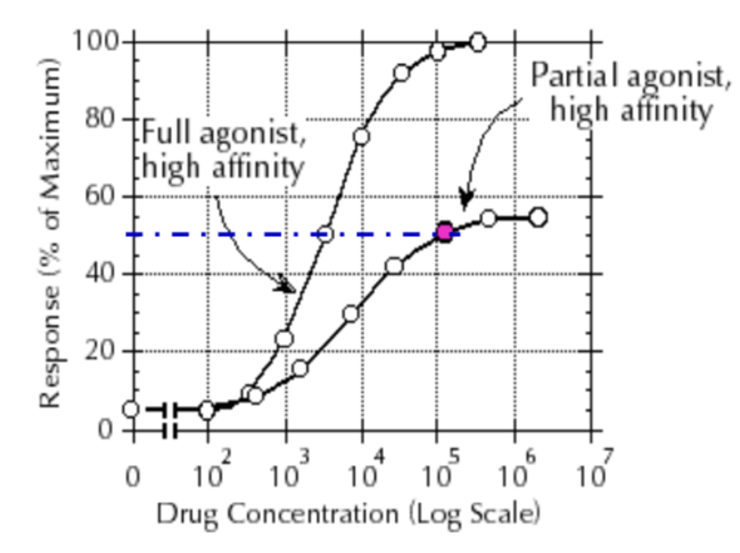 <p>full agonists</p>