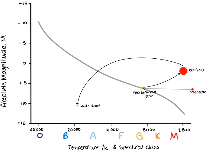 <p>Slight curve upwards from red giant is important</p>