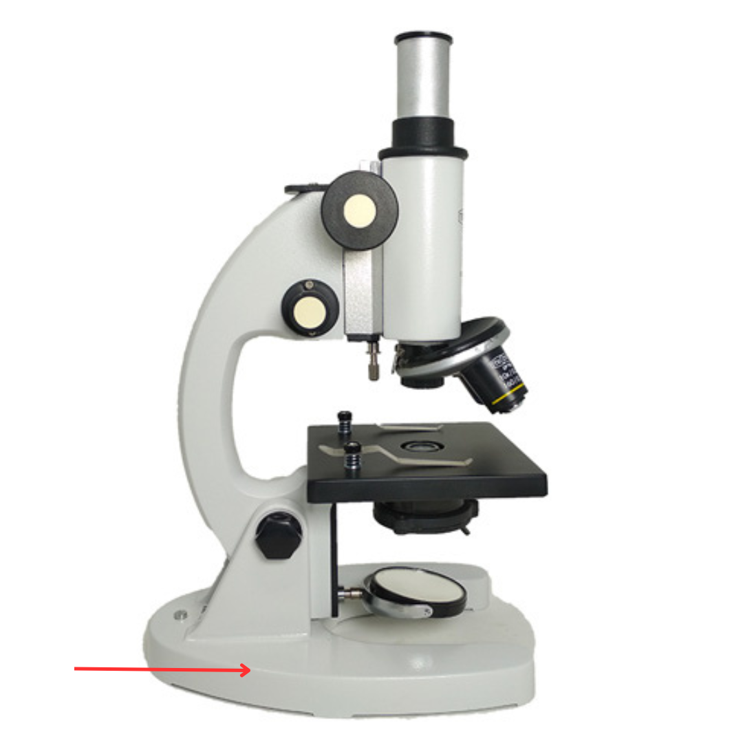 <p>Allows the microscope to stand.</p>