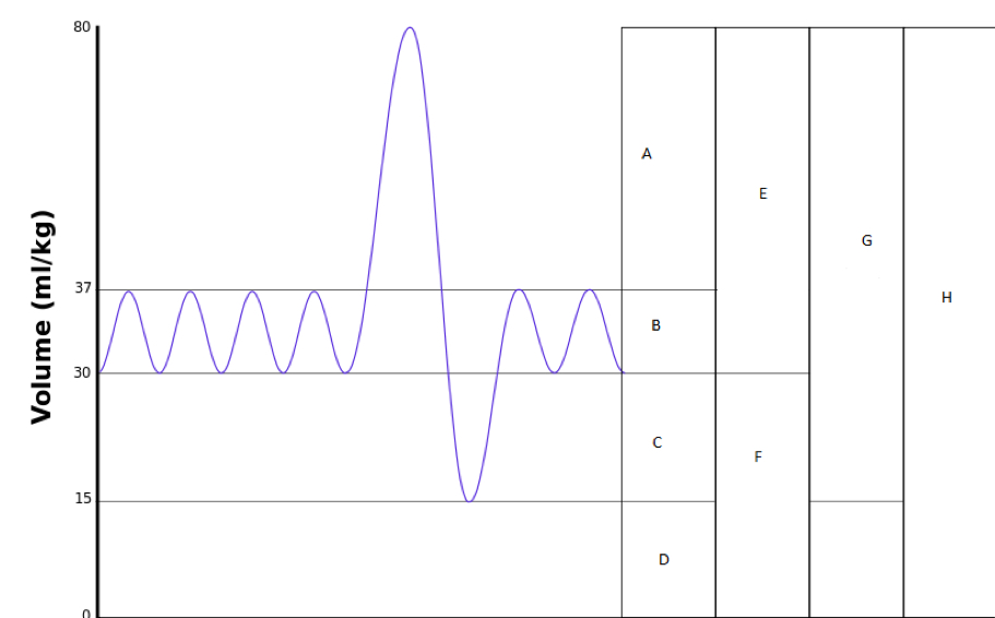 <p>label the graph of lung volumes</p>