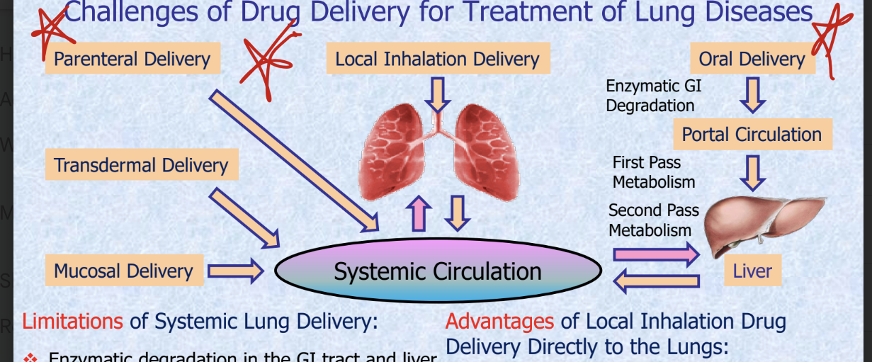 <ul><li><p>limitations of systemic lung delivery</p><ul><li><p>enzymatic degradation in the GI tract and liver</p></li><li><p>short half life and degradation of drugs in blood stream</p></li><li><p>low accumulation and retention of drugs in lungs</p></li><li><p>low efficacy of treatment</p></li><li><p>possible adverse side effects on other organs</p></li></ul></li><li><p>advantages of local inhalation drug delivery directly to the lugs</p><ul><li><p>enhanced accumulation and retention of drugs in the lungs</p></li><li><p>prevention (or at least limitation) of penetration of drugs into the bloodstream and accumulation in other healthy organs</p></li><li><p>high efficacy of treatment</p></li></ul></li><li><p>challenge</p><ul><li><p>majority of free drugs, native nucleic acids, and peptides CANNOT be delivered into the lungs by inhalation necessitating a special dosage form or delivery system that can be inhaled</p></li></ul></li></ul><p></p>