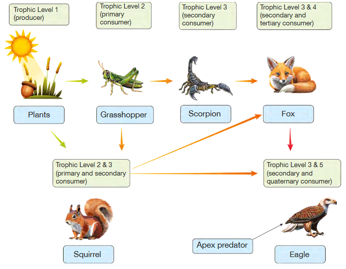 knowt flashcard image