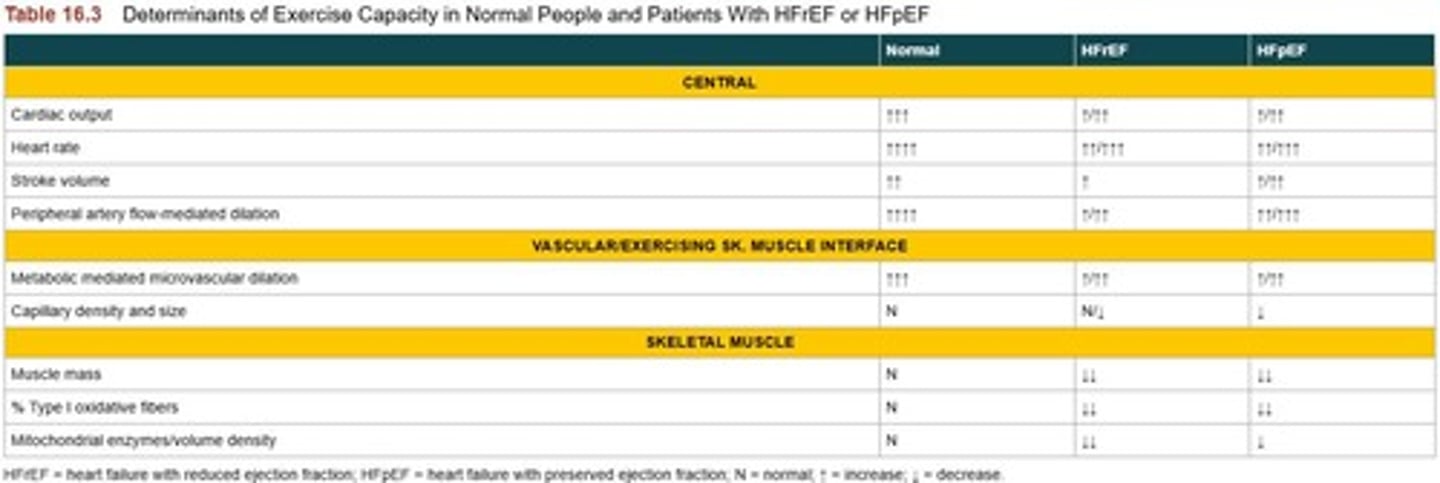 <p>Cardiopulmonary Exercise Testing; it quantifies heart dysfunction and assesses mortality risk.</p>