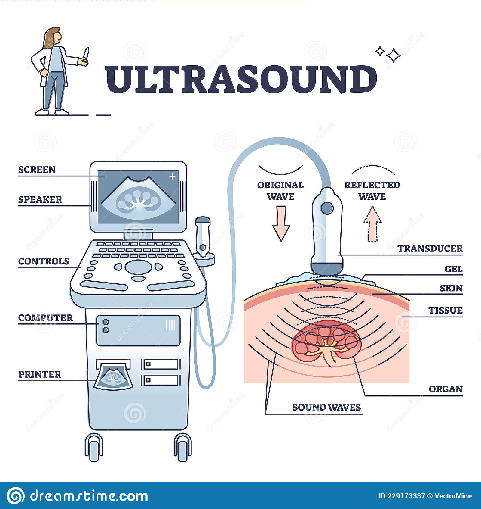 Ultrasound physics