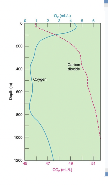 What explains the decreasing O2 and increasing CO2 with depth in the profile

* photosynthesis at depth
* respiration at depth
* balanced photosynthesis and respiration 
* upwelling 
* none of the above 