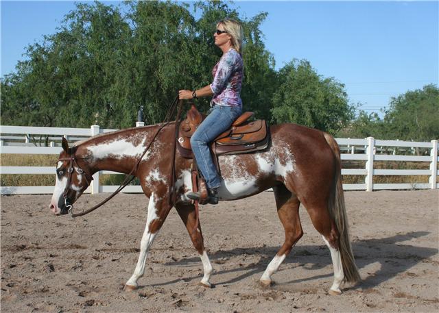 <p>Colored with irregular white spots white spot do not cross the back at least one leg is colored face is often white</p>