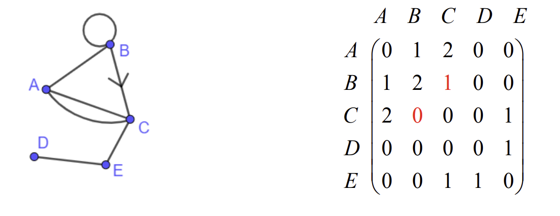 <p>a graph with one or more directed arcs, affects the incidence matrix</p>