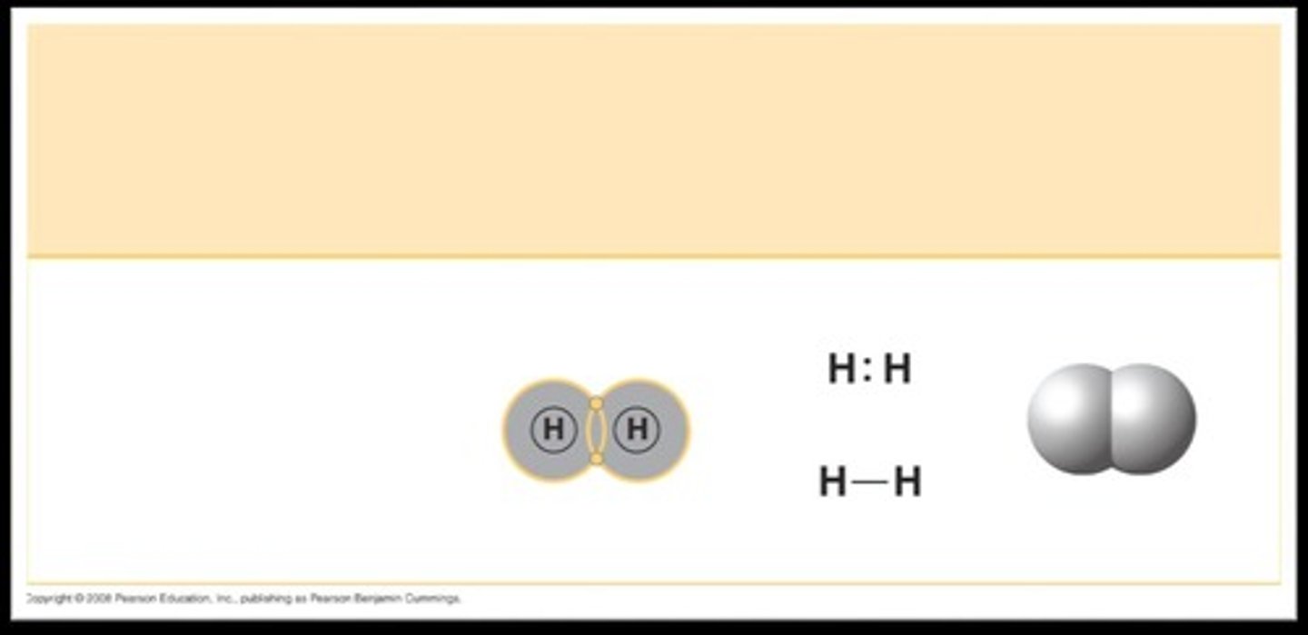 <p>A bond where electrons are shared equally, as seen in Hydrogen (H2).</p>