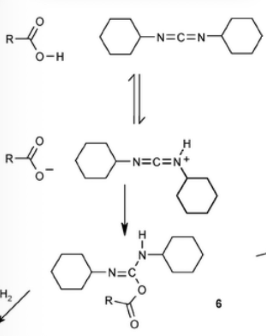 <p>What potential products can be made from this reaction?</p>