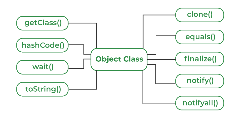 <p>object classes</p>