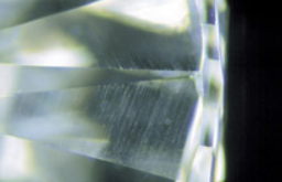 <p>What blemish is this?</p>