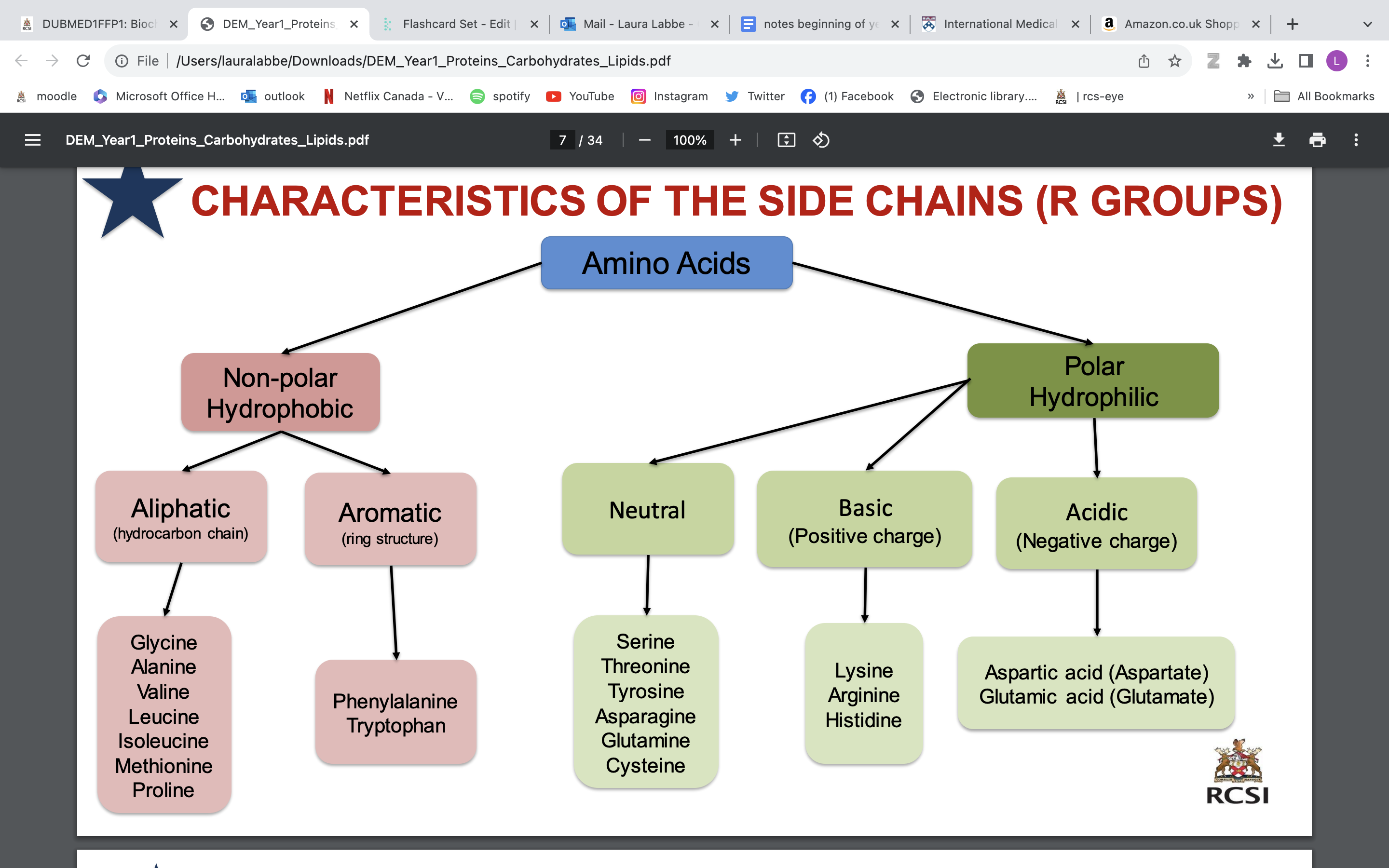 <p>**don’t need to learn all of the amino acids, need to learn ones on following slides</p><ul><li><p>polar AAs found on surface of proteins </p></li></ul>