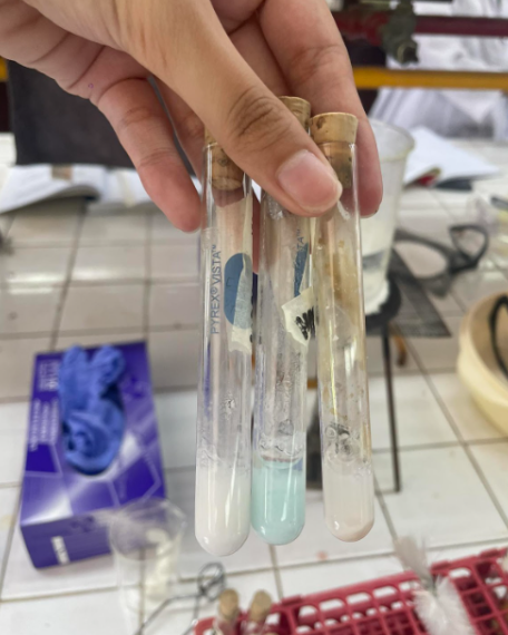 <p><strong>Heavy Metal Salts</strong></p><ul><li><p><strong>Copper (I) Sulfate</strong></p><p><strong>= BLUE PRECIPITATE</strong></p></li><li><p><strong>Lead (II) Acetate</strong></p><p><strong>= WHITE RECIPITATE</strong></p></li><li><p><strong>Silver Nitrate</strong></p><p><strong>= WHITE PRECIPITATE</strong></p></li></ul>