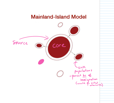 <p>What is the mainland-island model of metapopulations?</p>